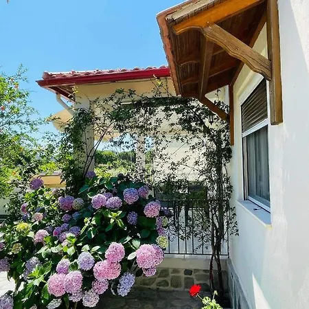 Rosa's Garden House Apartment *